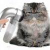 Electric Pet Hair Brush for Dogs and Cats - Vacuum Grooming Tool S202412279480