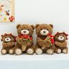 Rose Bear Teddy Bear with Hat, Flower Holding Plush Toy, Valentine's Day Birthday Gift for Girlfriend Women