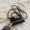 Stylish Spring 2024 Crossbody Bag For Women Trendy Korean Shoulder Purse