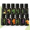 3-Pack Pure Plant Essential Oils Set for Aromatherapy, Massage & Spa, Scented Relaxation & Skin Moisturizing Body Care