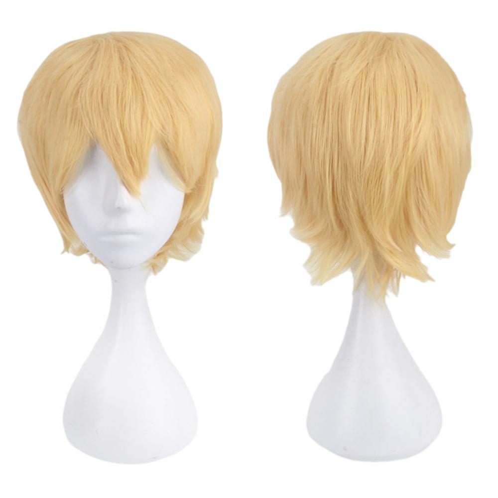 Synthetic Short Straight Hair Heat Resistance Male Layered Wigs Full Head Anime Cosplay Wigs  Boy