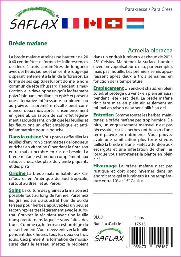 SAFLAX Подарочный набор - Кресс-салат - 500 семян - С подарочной коробкой, карточкой, этикеткой и субстратом для горшков - Acmella oleracea