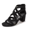 Women's Fashion Coarse Heel Roman Sandals High Heel Rear Zipper Summer Versatile Dress Shoes Open Toe Comfortable