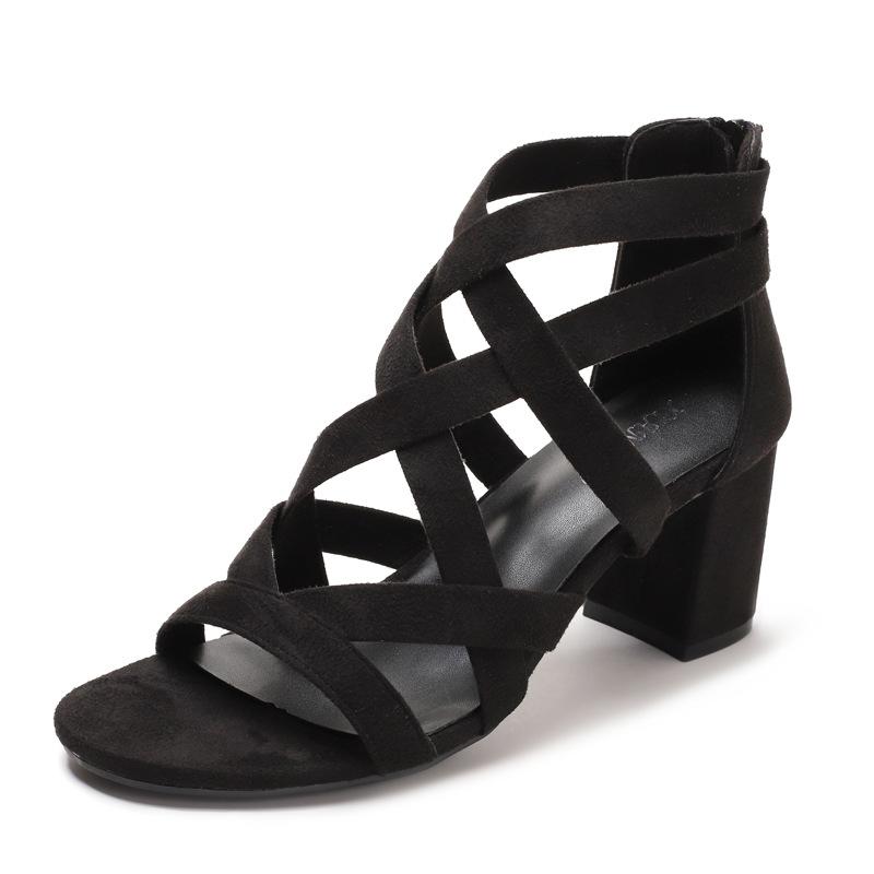 Women's Fashion Coarse Heel Roman Sandals High Heel Rear Zipper Summer Versatile Dress Shoes Open Toe Comfortable