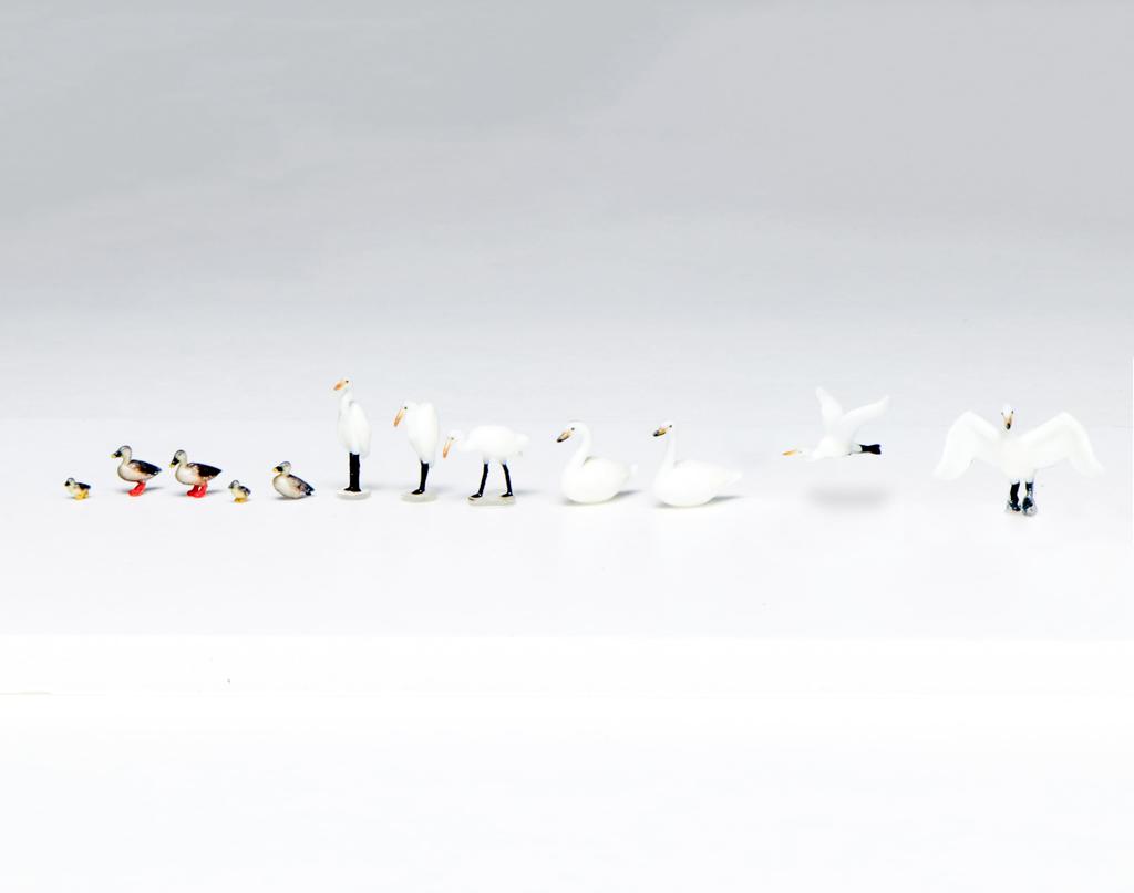 KATO Waterfowl Diorama Supplies 1/87 6-606