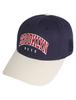 [NBA] NYK Arched Lettering Embroidery HARD CURVED CAP N225AP46