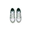 Nike Кроссовки Dunk Dreamy Phantom Термостойкие Нескользящие Баланс Легкие Дышащие Низкие Скейтбордические Обувь Унисекс Зеленые DD1391-101(Команда776-)