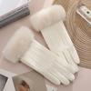 Warm Gloves for Women In Winter Thickened and Fresh Yang Ni Cycling Hair Mouth Cold Proof Outdoor Windproof Heat Storage Touch Screen Gloves