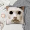 Чехол на подушку с смешным мемом про кота, квадратный, двусторонний принт, короткий плюш, чехол на диванную подушку, для спальни, прикроватной тумбочки