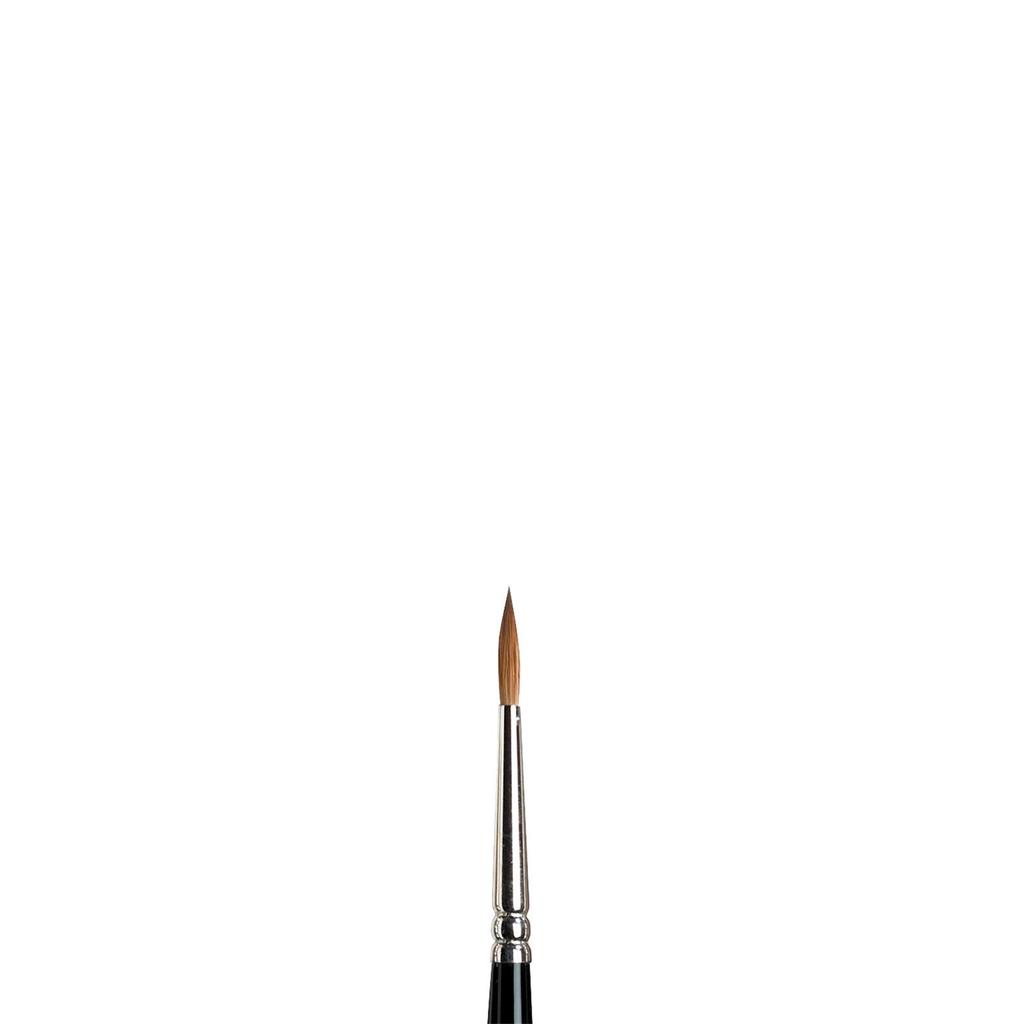 Winsor & Newton Series 7 Watercolor Brush No.2 - Premium Quality Artist Brush