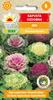 Ornamental Cabbage Mix Flower Seeds for the Garden, Large Yields