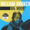 LP Пластинка WILLIAM HOOKER - Big Moon ORGM2198 ORG Music 2021 US Джаз
