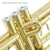 Труба Eastar Bb Tone для начинающих с чистыми аксессуарами для начинающих школьников и взрослых (Золотая латунь)