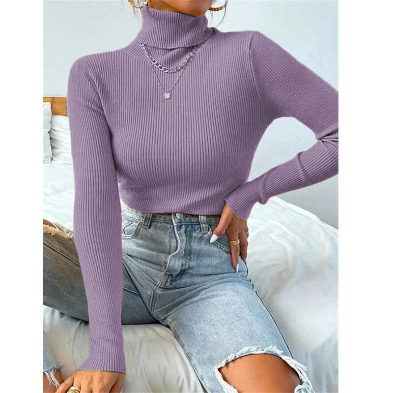 Осень-зима Женская футболка с длинным рукавом и высоким воротником, однотонные топы