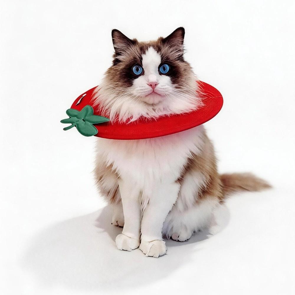 Soft Fruit Shape Kitty Recovery Collar Anti-biting Dog Protective Neck Cone  Stop Licking