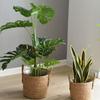 Nordic Seagrass Woven Flower Basket for Plants and Storage