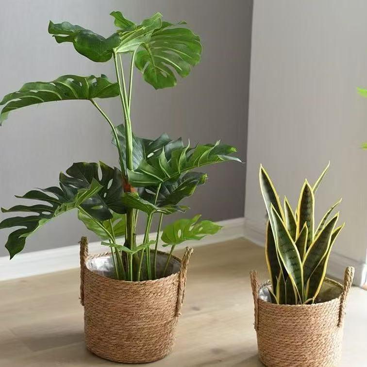 Nordic Seagrass Woven Flower Basket for Plants and Storage