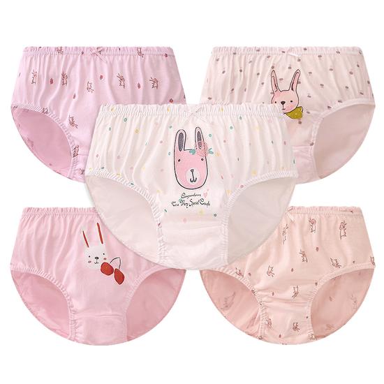 Ding Dong Dang Kids Girls' Pure Cotton Briefs 5 Piece Set GP046, a Popular Character In Korea