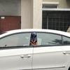 Наклейка на центральную стойку автомобиля Наклейка на центральную стойку автомобиля Черный волк, охваченный пламенем Боковая дверь, крышка окна, стойки оконных стоек