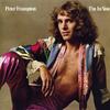 LP Record PETER FRAMPTON - I'm In You AMLK64704 A&M Records 1977 UK Rock Used