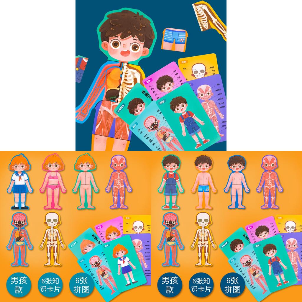 Деревянная структура тела Puzzle Для детей Образовательная развивающая игрушка Для мальчиков и девочек