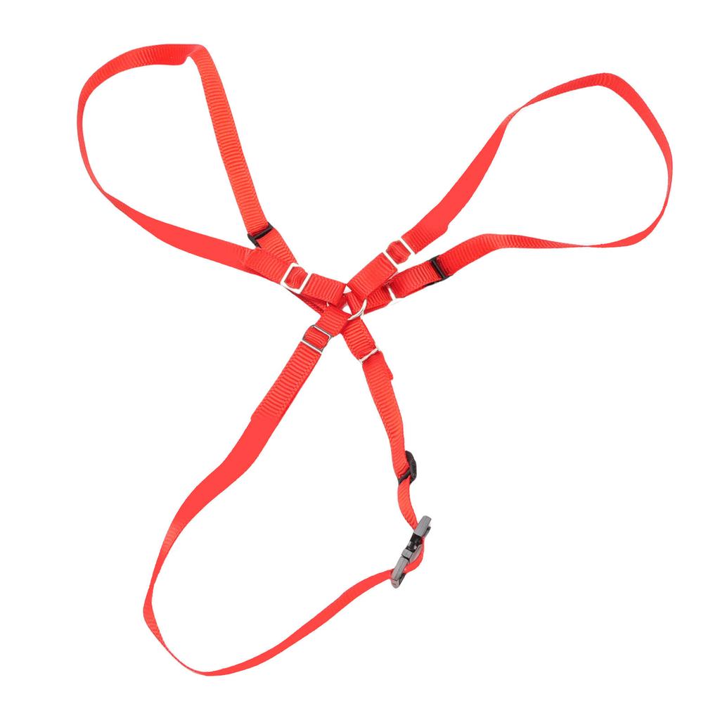 Spare Tire Strap Kit Fit for TRAXXAS UDR 1 10 RC Cars Nylon Spare Tire Fixed Y Strap with Hooks Red