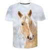 Новая летняя модная мужская женская детская футболка с единорогом и рисунком лошади в повседневном уличном стиле, дышащая, легкая, классная