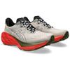 Asics Novablast 4 TR Nature Bathing - Red Snapper Men Sneakers Grey 1011B850-300