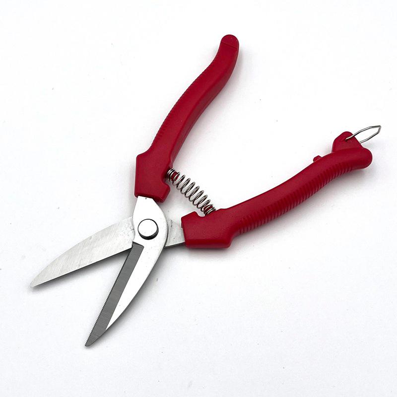 Stainless Steel Pruning Scissors for Garden, Branch, and Flower Arranging