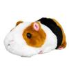 Sanei Boeki Original Plush Pure Fuwa Friends Guinea Pig X D17 X Animal (S) (S) W7.5 H6.5cm