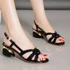 Fashion Ladies Shoes On Sale 2024 Brand One-word Buckle Ankle-wrap Women' Sandals Summer Solid Open Toe Chunky Heels Daily Sandals Women