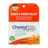 Chestal Kids Cough & Mucus Relief, 2 Tubes