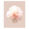 Pastelowy Kwiat W Detalu Pastelowy Kwiat W Detalu, 70X100 Cm, Rama Drewniana Jasny Dąb, Papier Matowy 230 Gsm