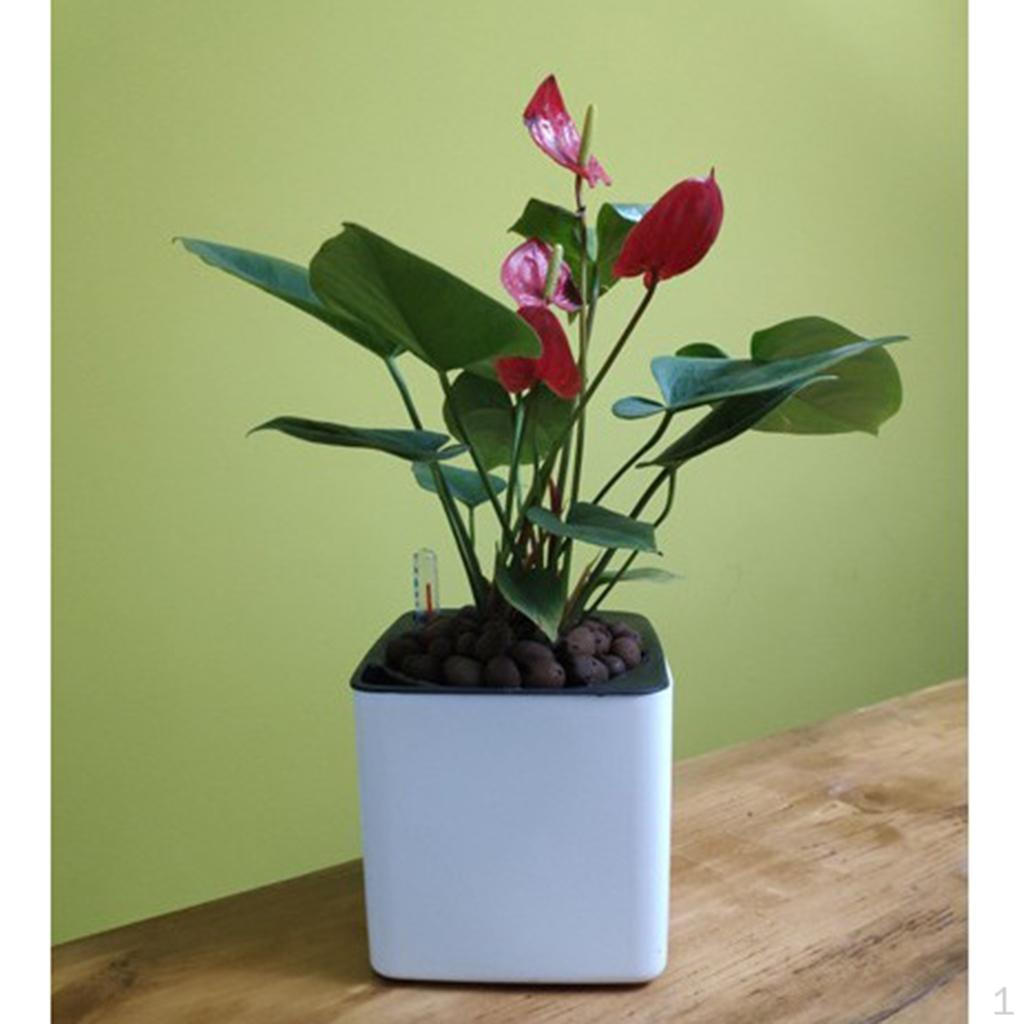 Горшок для цветов с самополивом и индикатором уровня воды, белый