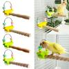 Durability Wooden Parrots Gym Interactively For Climbing Jumping And Playing Helps Prevent Boredom In Pet Birds