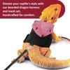 Canvas Bearded Dragon Lizard Hoodie Colorful Lizard Harness Vest  Walking