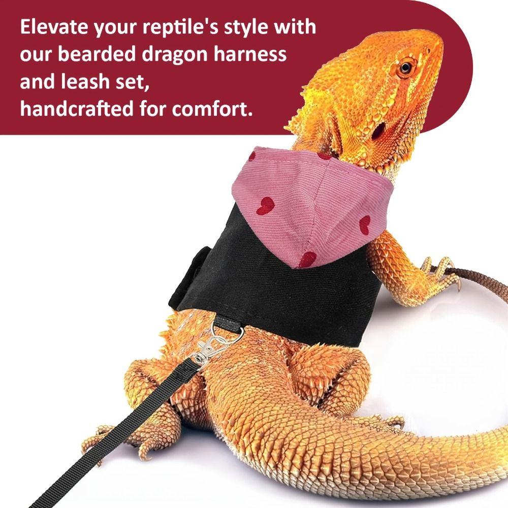Canvas Bearded Dragon Lizard Hoodie Colorful Lizard Harness Vest Walking