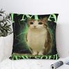 Смешная наволочка с рисунком кошки и совы  Графическая наволочка Ретро Модная наволочка для офиса, автомобиля, домашнего декора