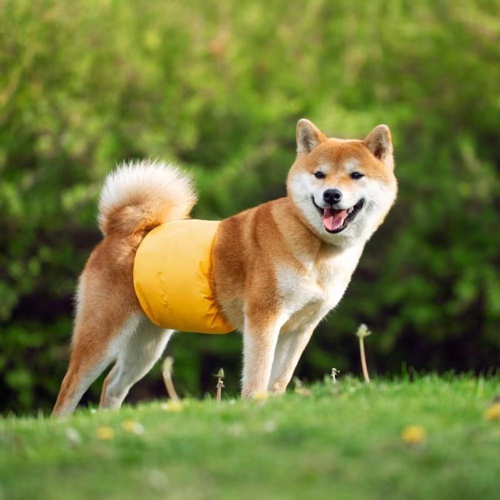 Reusable Male Dog Diapers Washable Wraps Doggie Diapers New Dog Belly Bands For Small Big Dogs