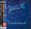 CD AMAZE ME - Wonderland MICY1092 Avalon 2000 Япония Рок Б/У