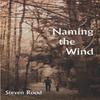 Naming the Wind by Steven Rood Paperback Book 9781632431042
