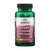 Green Lipped Mussel 500 Mg, 60 Capsules