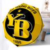 BSC Young Boys, 1898- Automatic Opening and Closing, 8-rib Structure Portable Umbrella, Suitable for Men and Women in All Seasons - Perfect