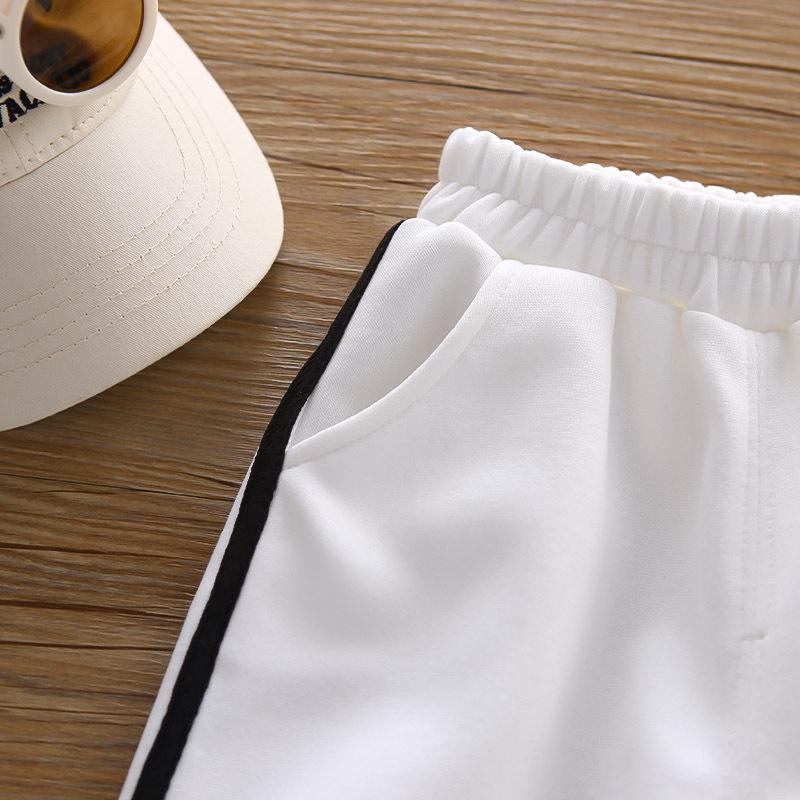 Boys' Trendy Two-Piece Autumn Set: Long Sleeve, Stand-up Collar, Zip-Up Pullover