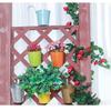 Hanging Planter Flower Holders with Detachable Hooks for Indoor Outdoor Garden Balcony Fence Railing Decoration