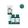 Round Wrap/ Pine Calm Shica Ampoule 30 Ml Double Plan(+Cream 50 Ml)