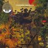 Виниловая пластинка CAMARAO ORKESTRA Nacao Africa FVR162LP Favorite 2020 Европа SoulFunk