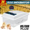 PP 36 Eggs Automatic Digital Turning Incubators Chicken Chick Farm Hatcher Temperature Control for Chicken Eggs Incubator New 39*24*17cm