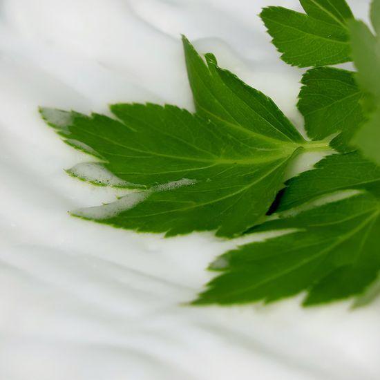 Lassieel Enzyme Fresh Herb Powder Wash 60g