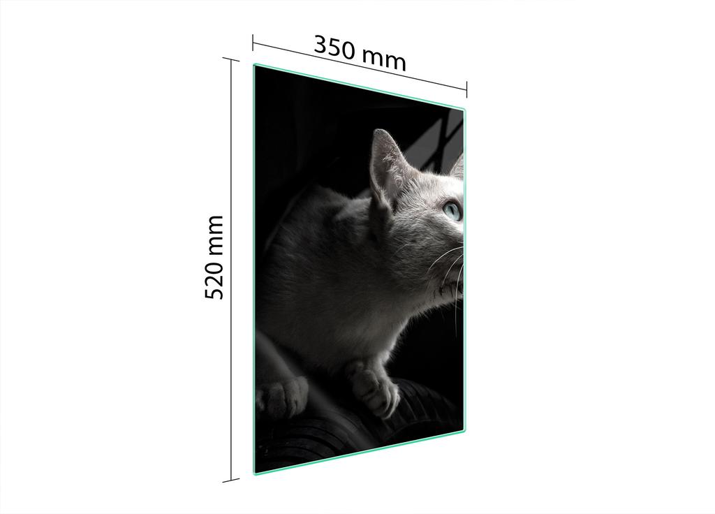 GLASS CUTTING BOARD 35x52 Cat